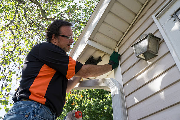 Best Custom Trim and Detailing for Siding  in New Union, TN